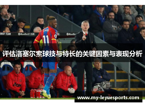 评估洛塞尔索球技与特长的关键因素与表现分析