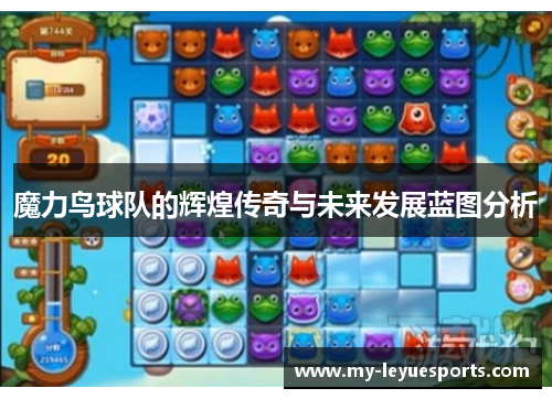 魔力鸟球队的辉煌传奇与未来发展蓝图分析 魔力鸟球队的辉煌传奇与未来发展蓝图分析