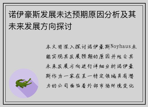 诺伊豪斯发展未达预期原因分析及其未来发展方向探讨