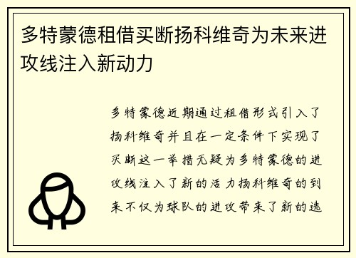 多特蒙德租借买断扬科维奇为未来进攻线注入新动力